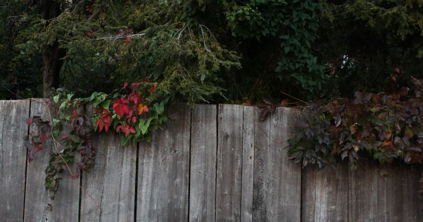 Accountability Partner Training #6: The Long-Term Change Process - Ever Accountable